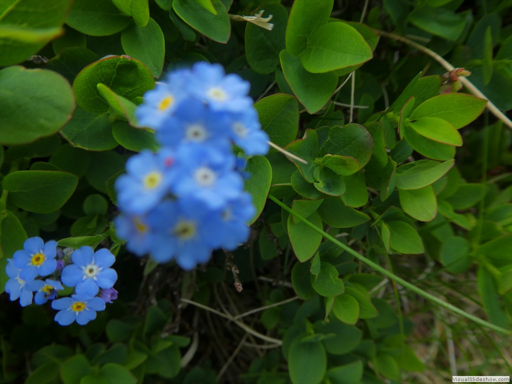 P1050710