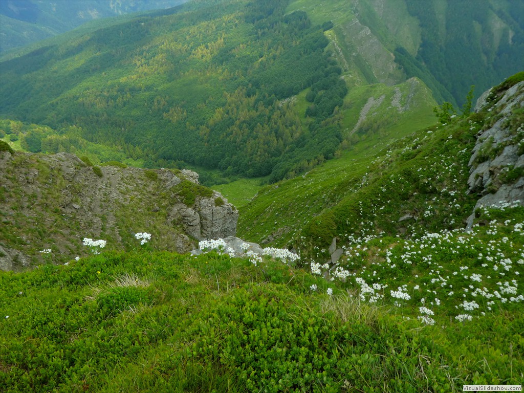 P1050711