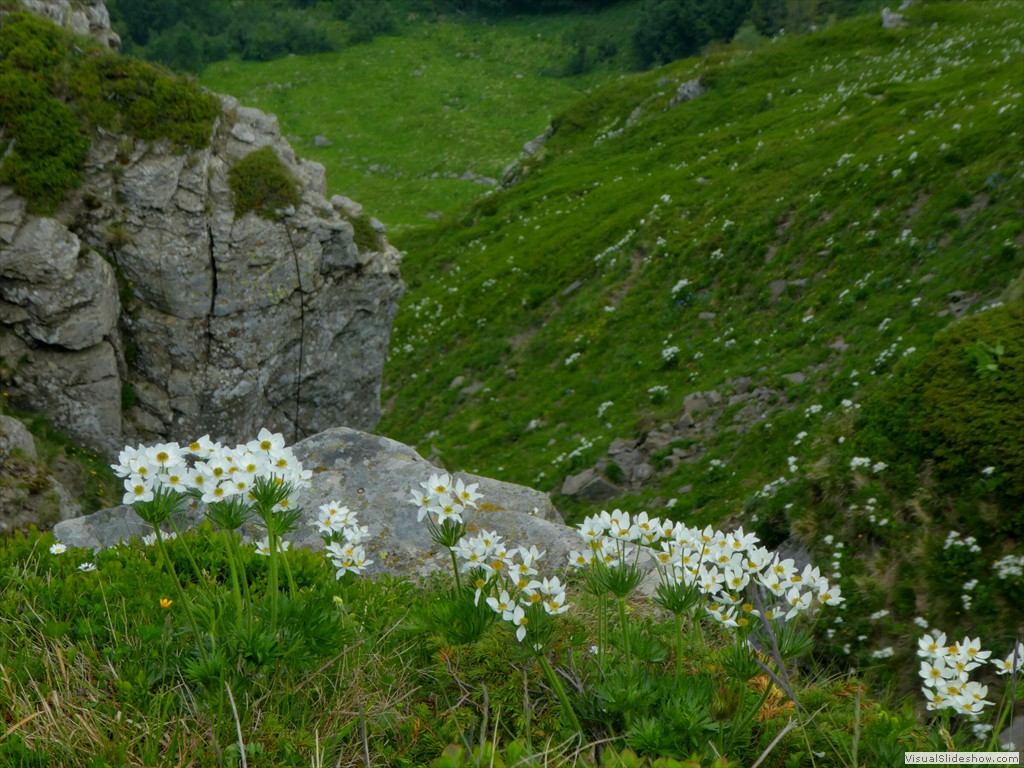 P1050712