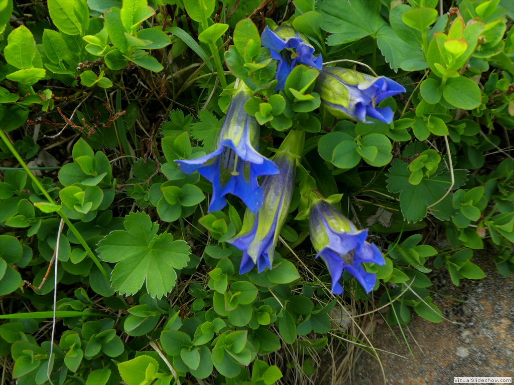 P1050713