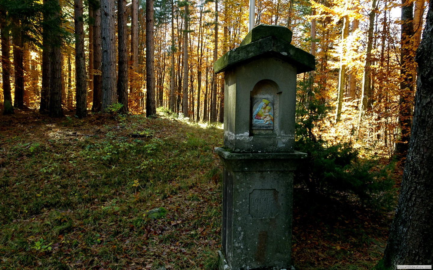 DSC02969