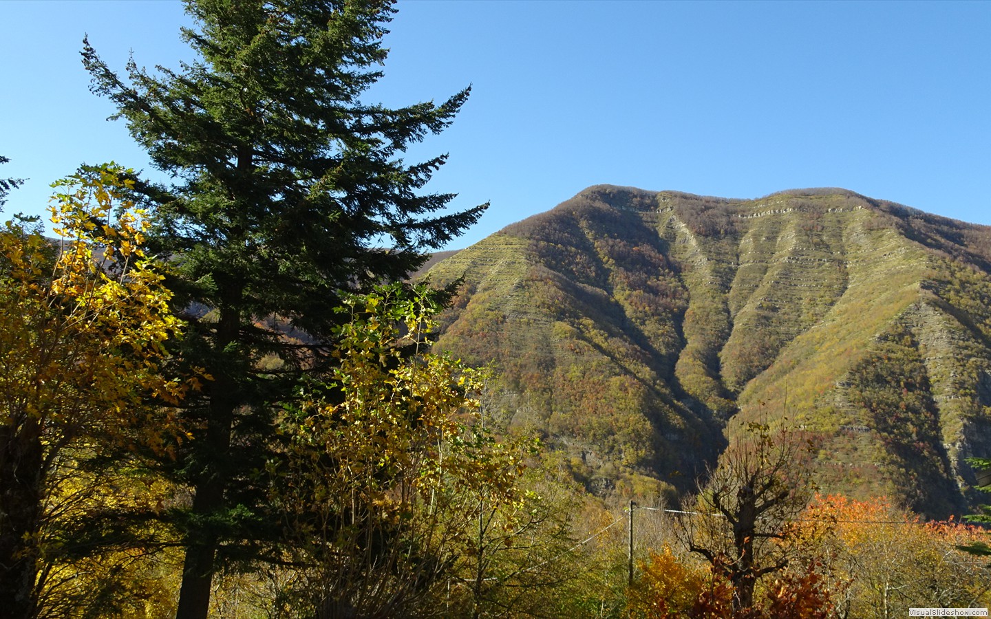 DSC02985