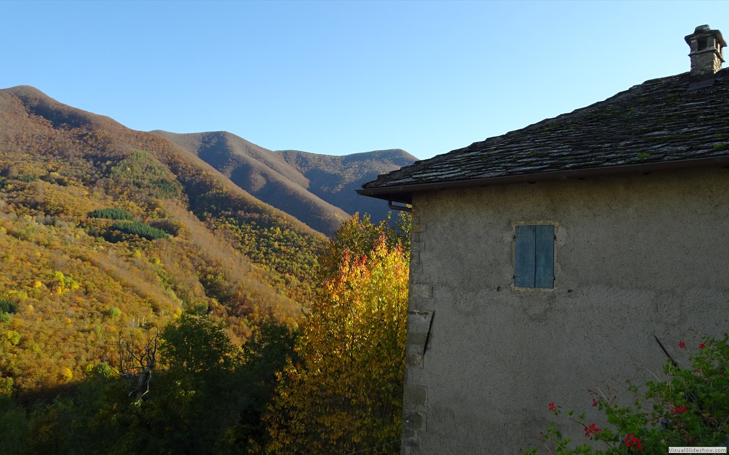 DSC03033
