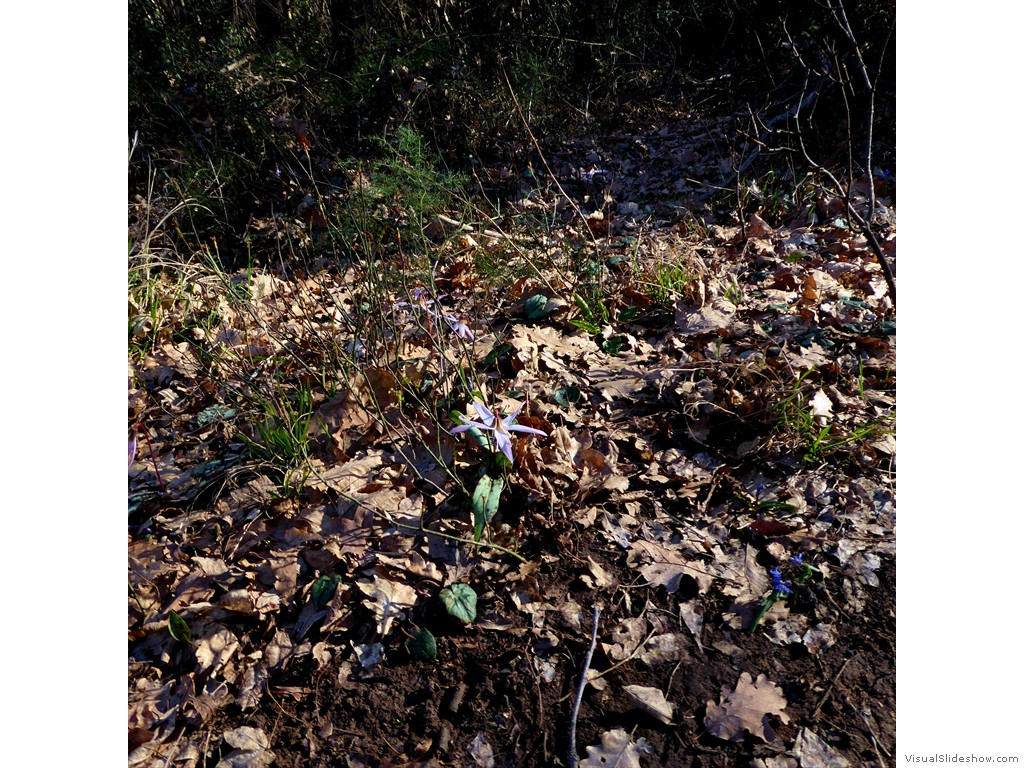 P1030254