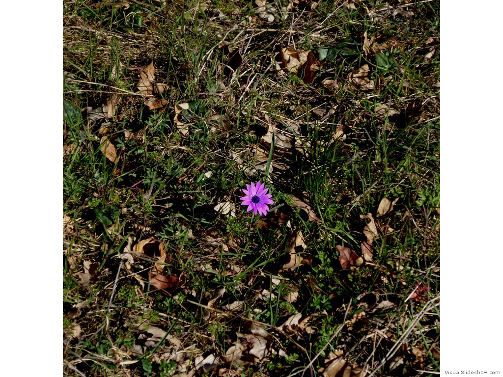 P1030255