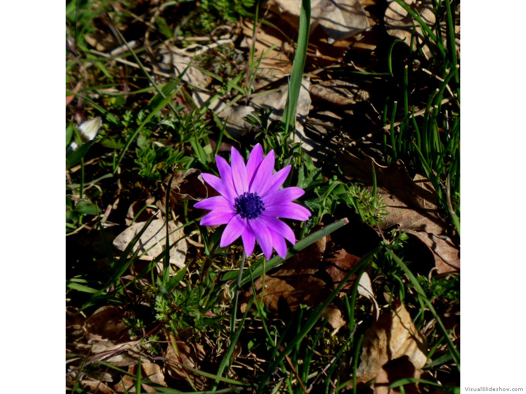 P1030256