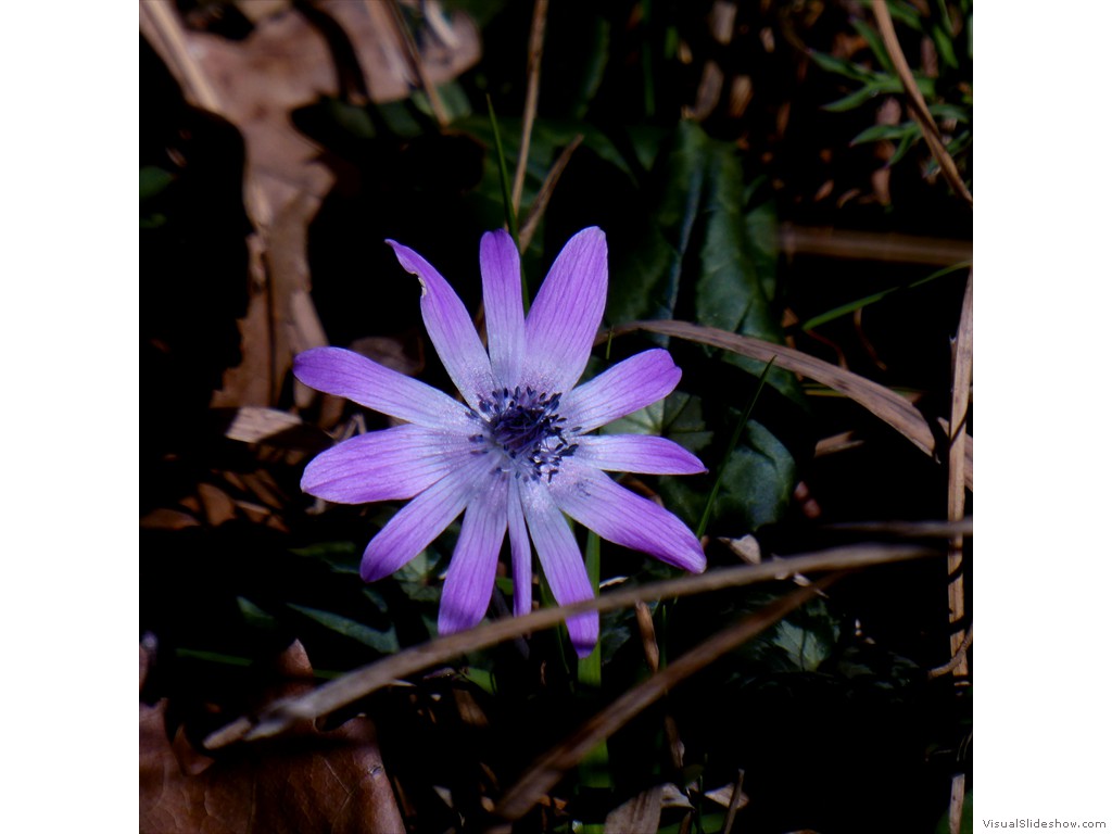 P1030261