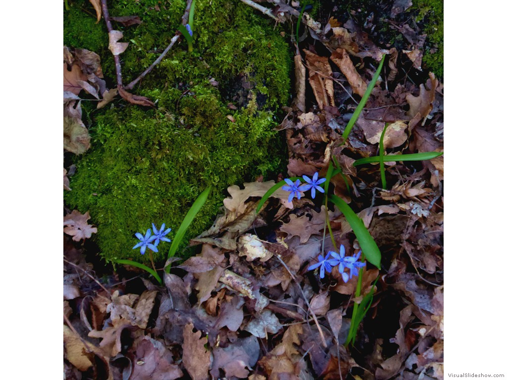 P1030265