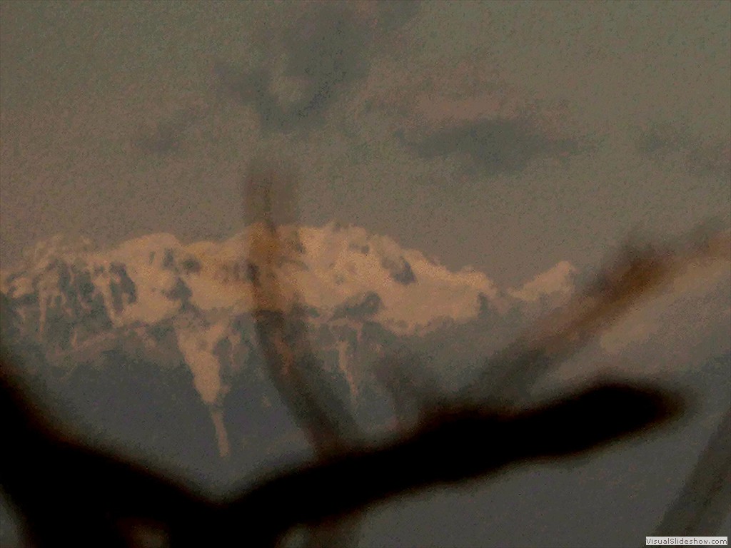 P1030271