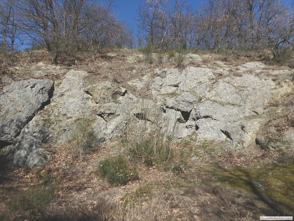 P1030272