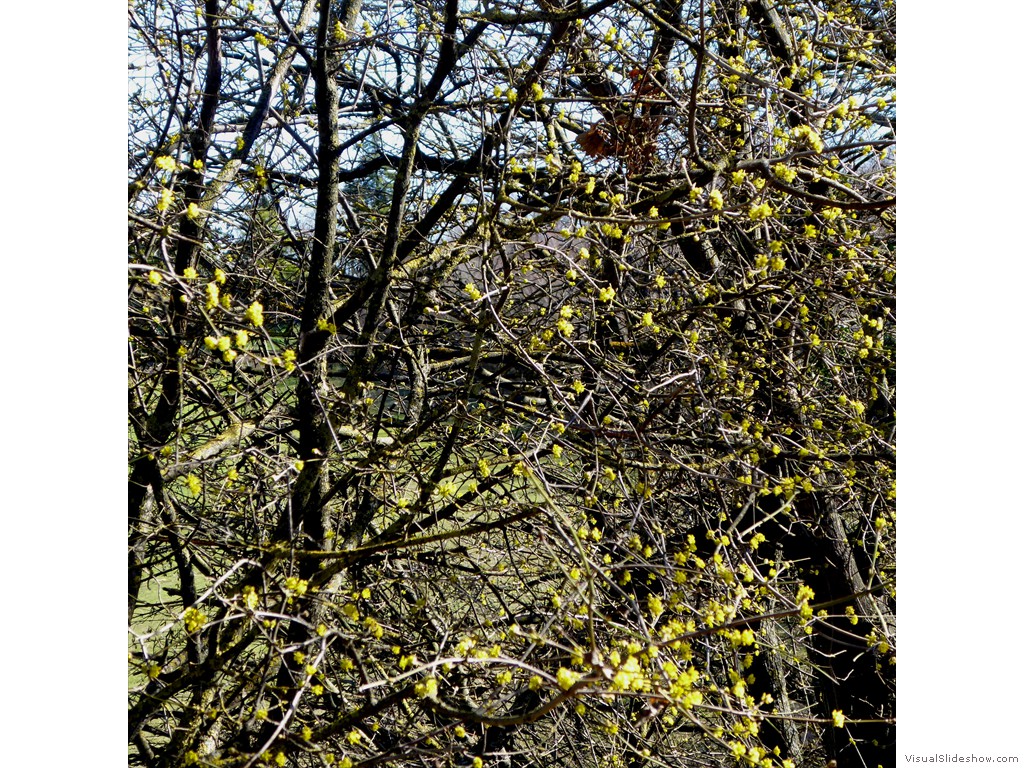 P1030285