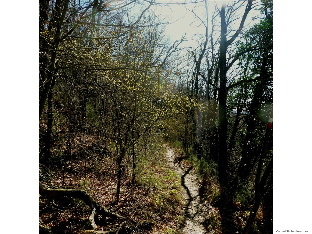 P1030290