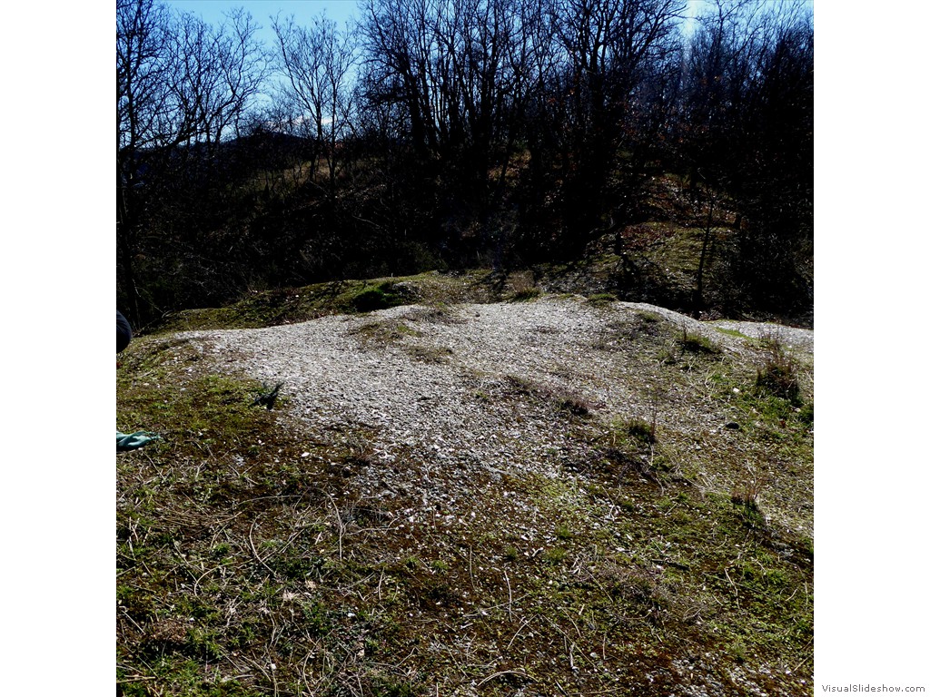 P1030295