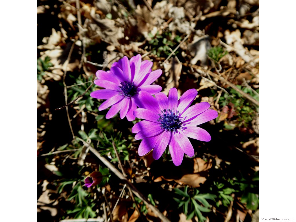 P1030314