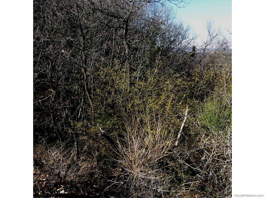 P1030316