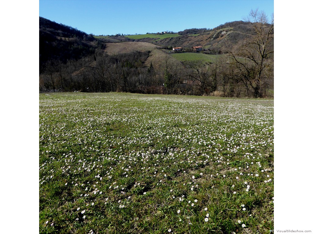 P1030326