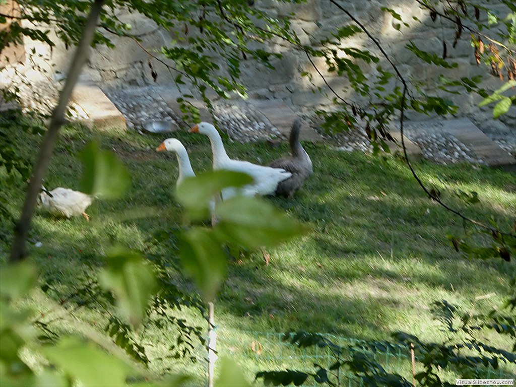 P1090466