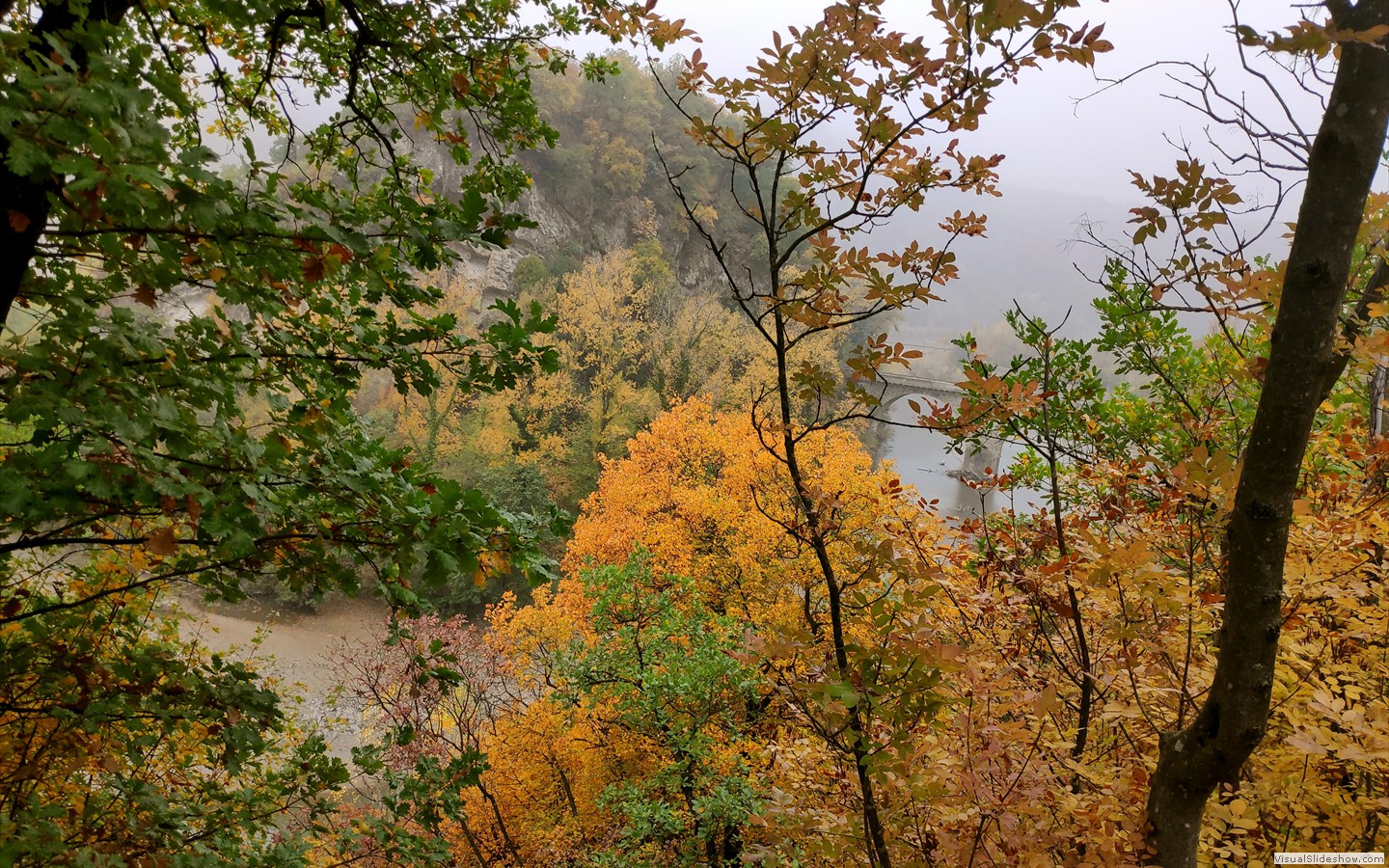 IMG_20201104_100751