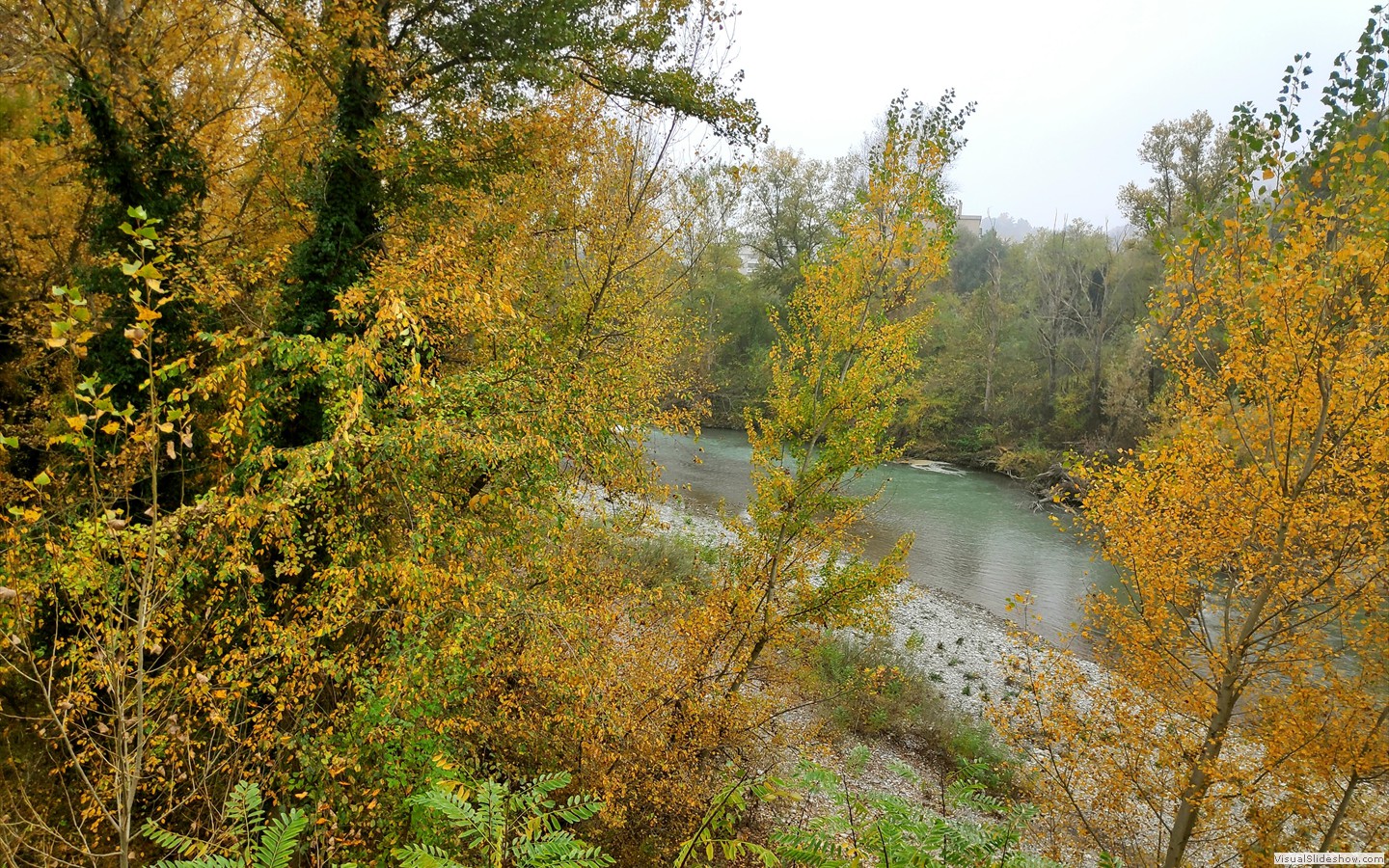 IMG_20201104_105339