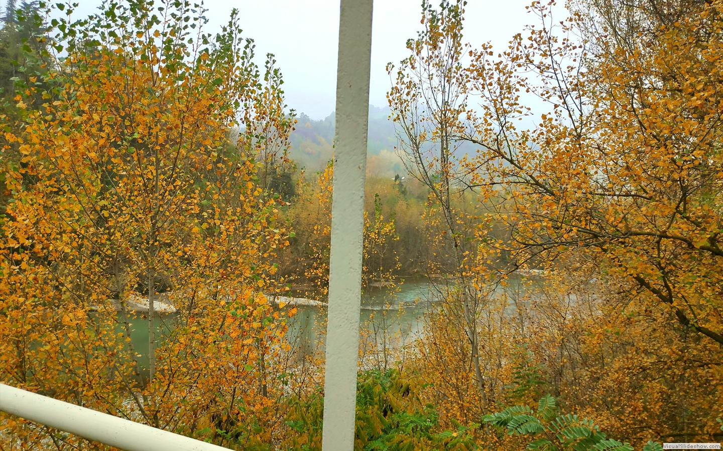 IMG_20201104_105344