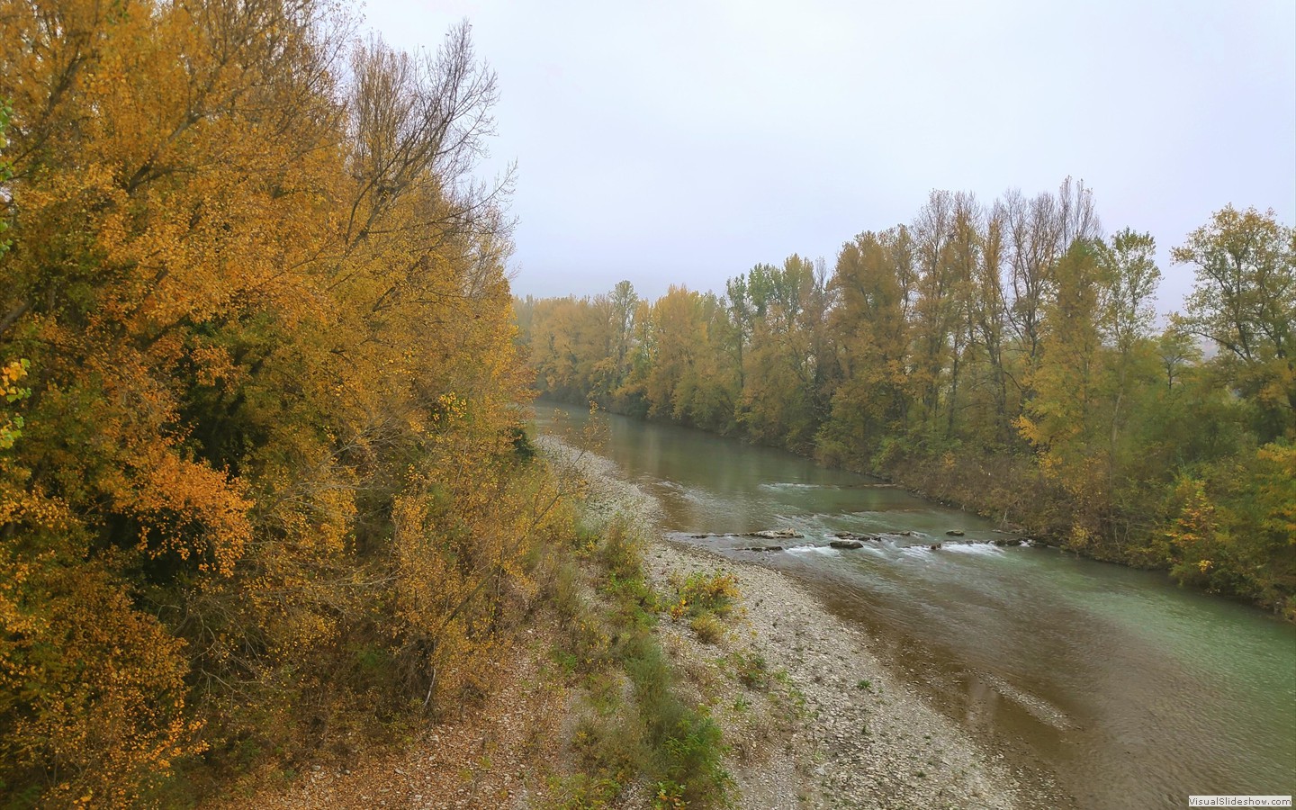 IMG_20201104_105437_1