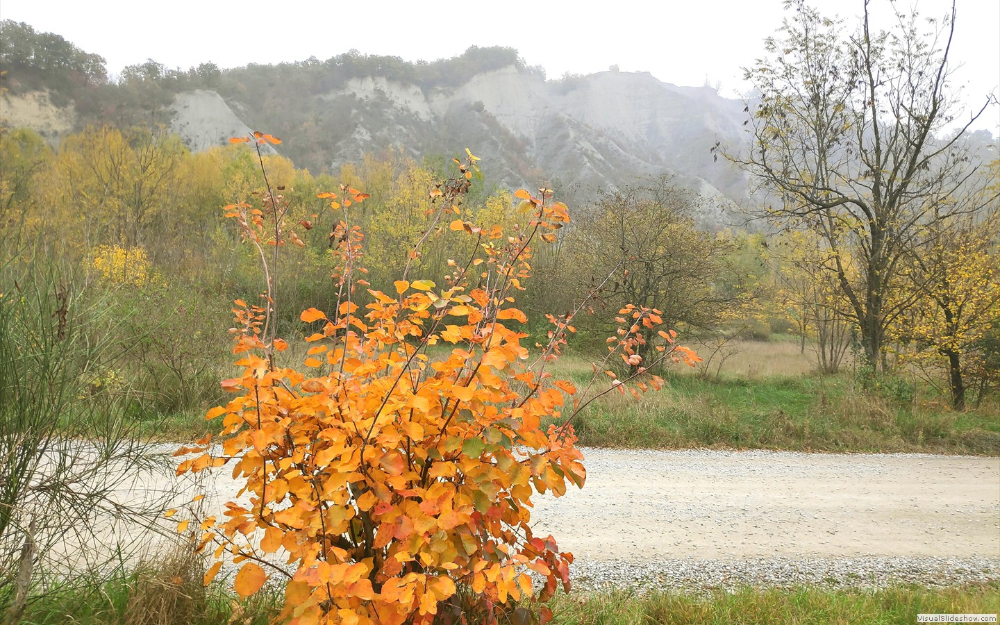 IMG_20201104_111645