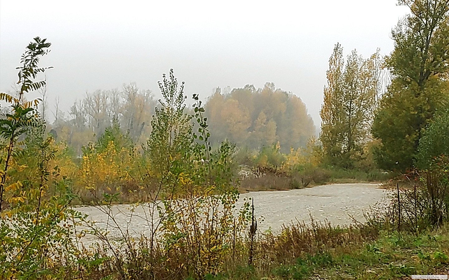 IMG_20201104_112524