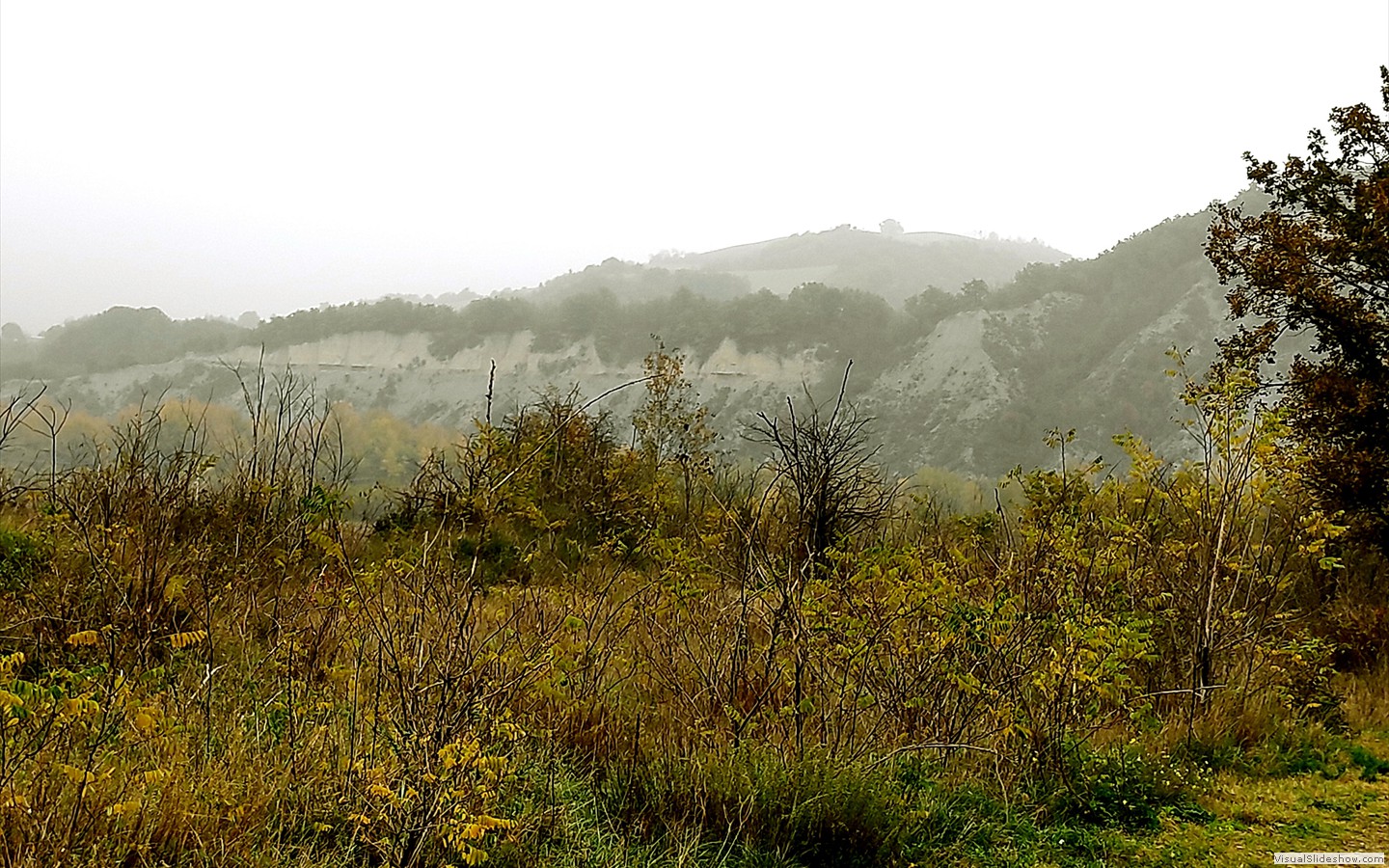 IMG_20201104_112800