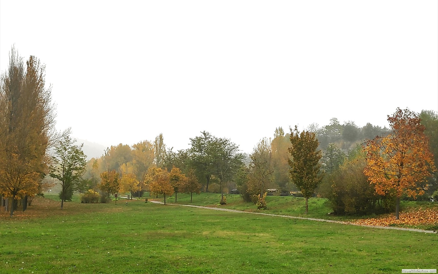 IMG_20201104_115417