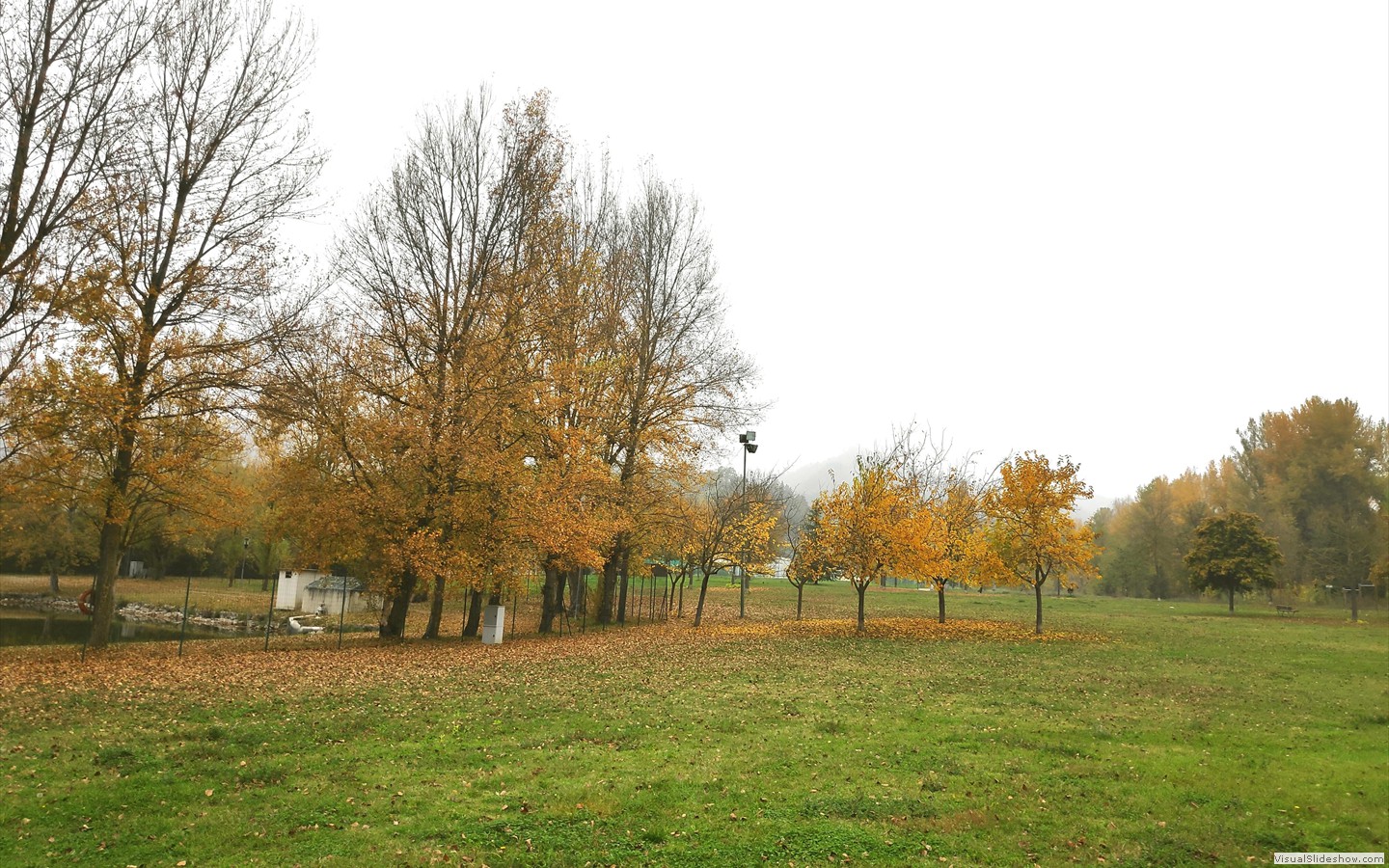 IMG_20201104_115708