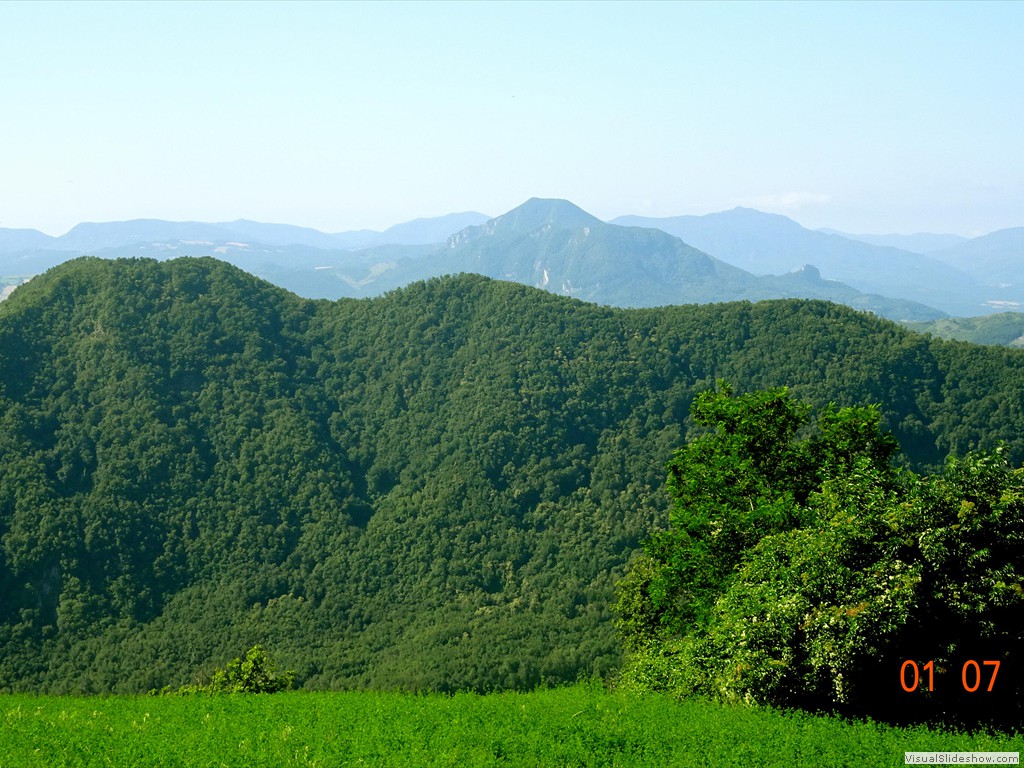 DSC02450