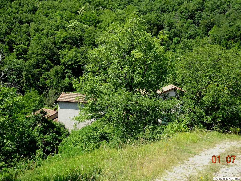 DSC02495