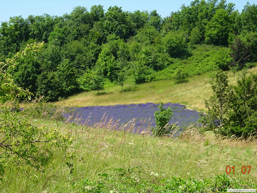 DSC02496