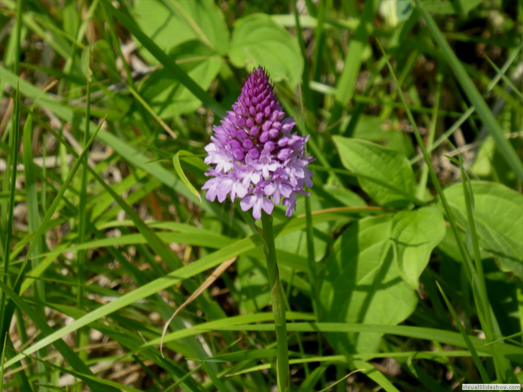 P1050515