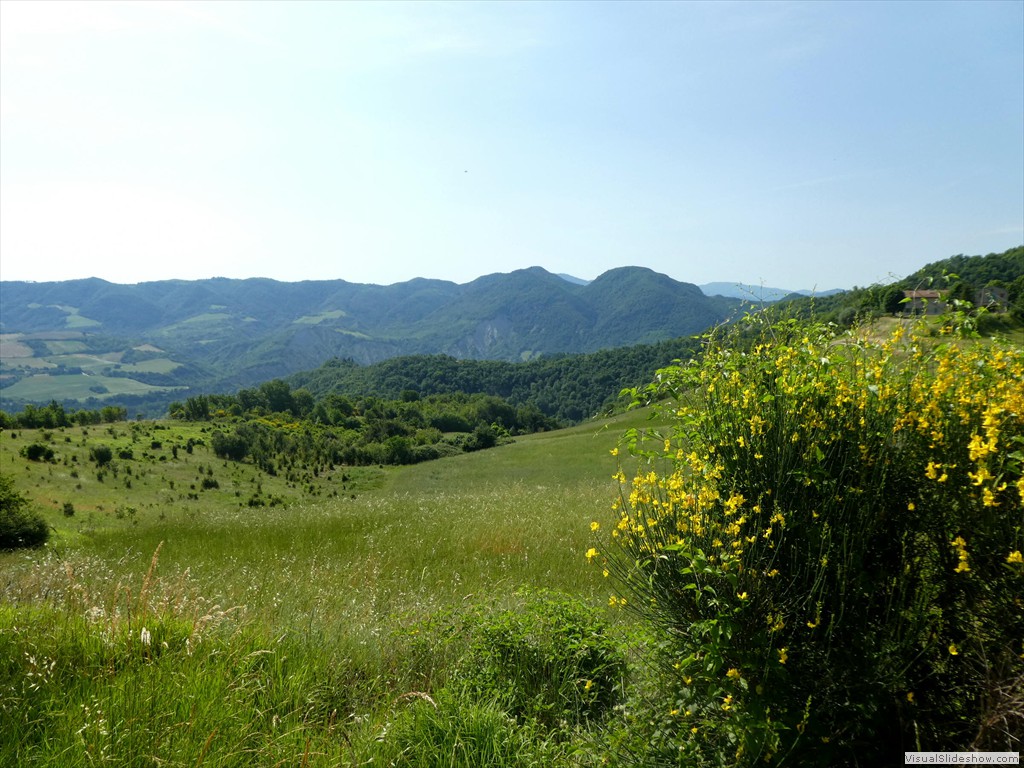 P1050519