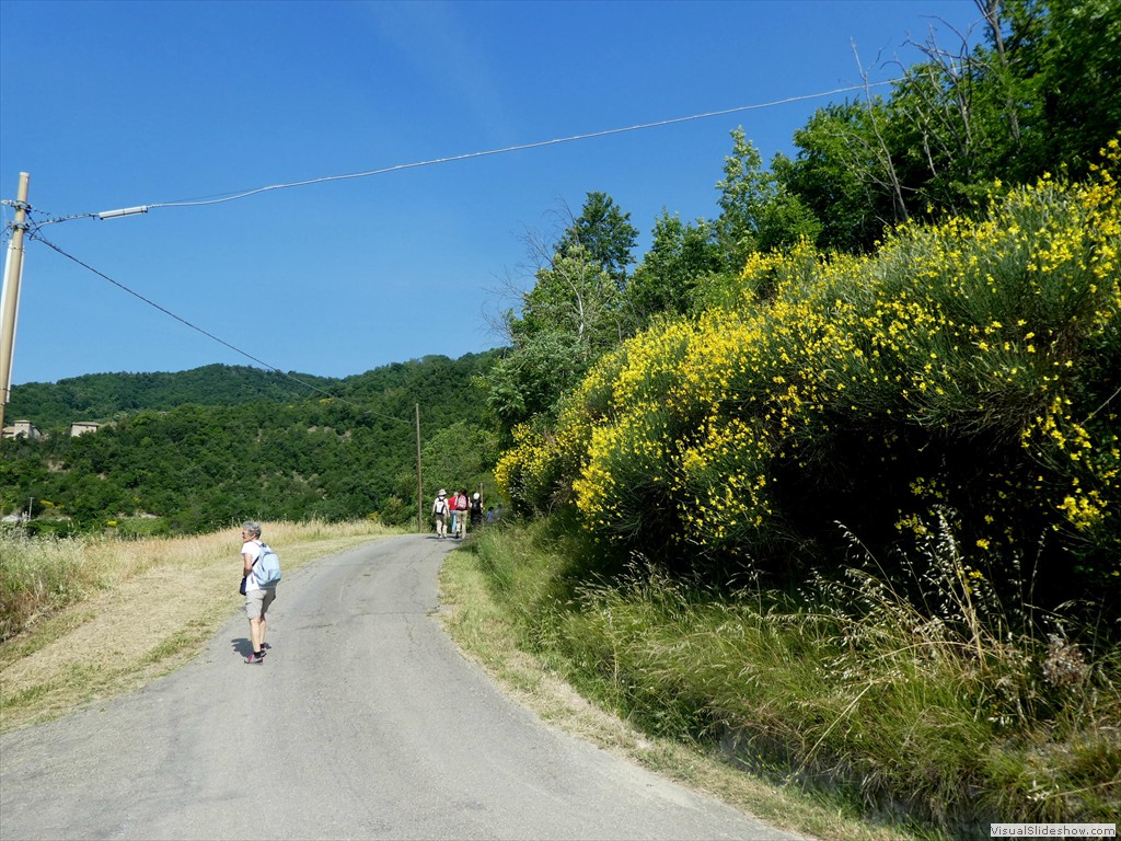 P1050520