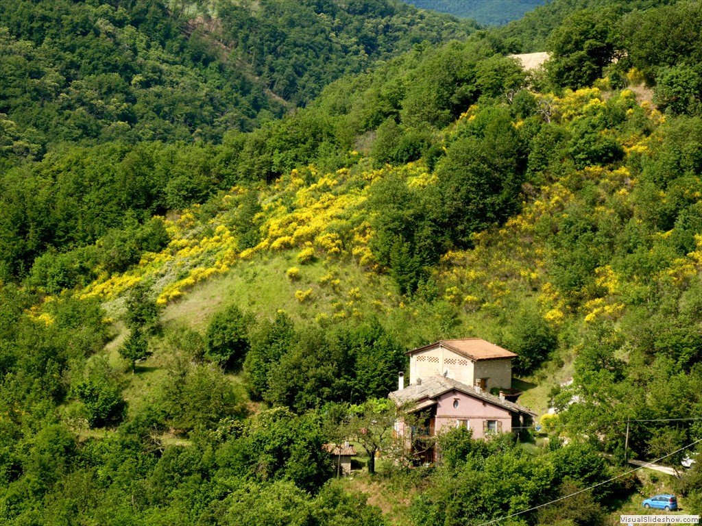 P1050523