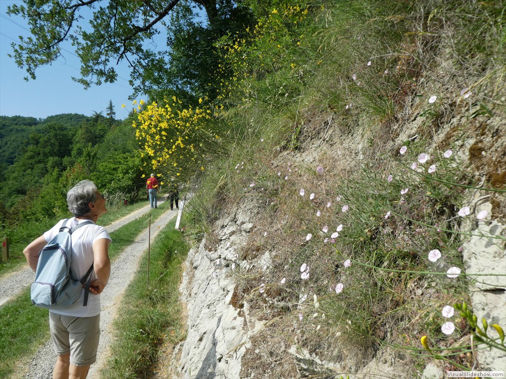 P1050527