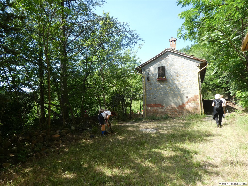 P1050531