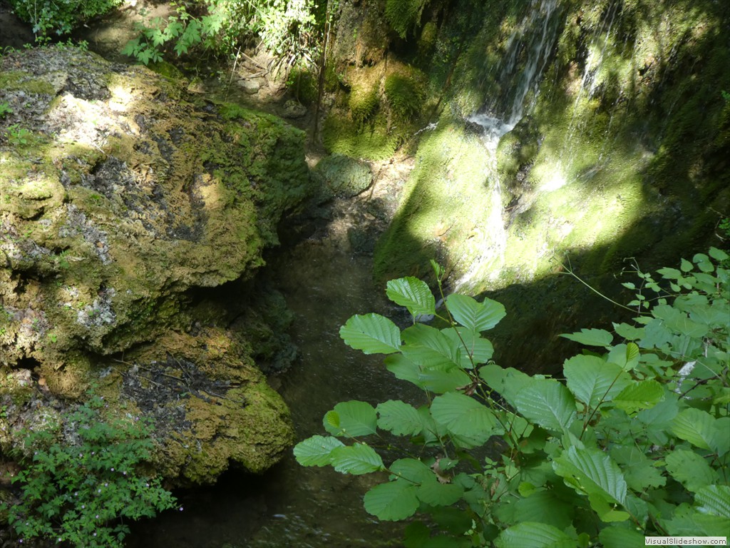 P1050537