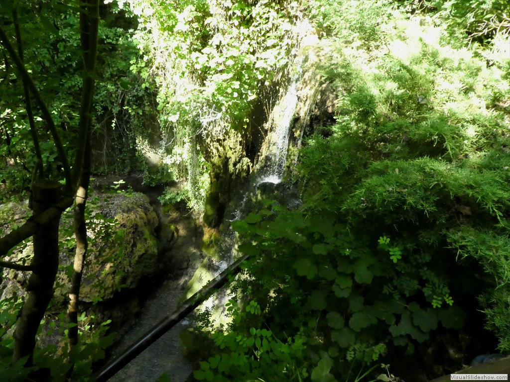 P1050539