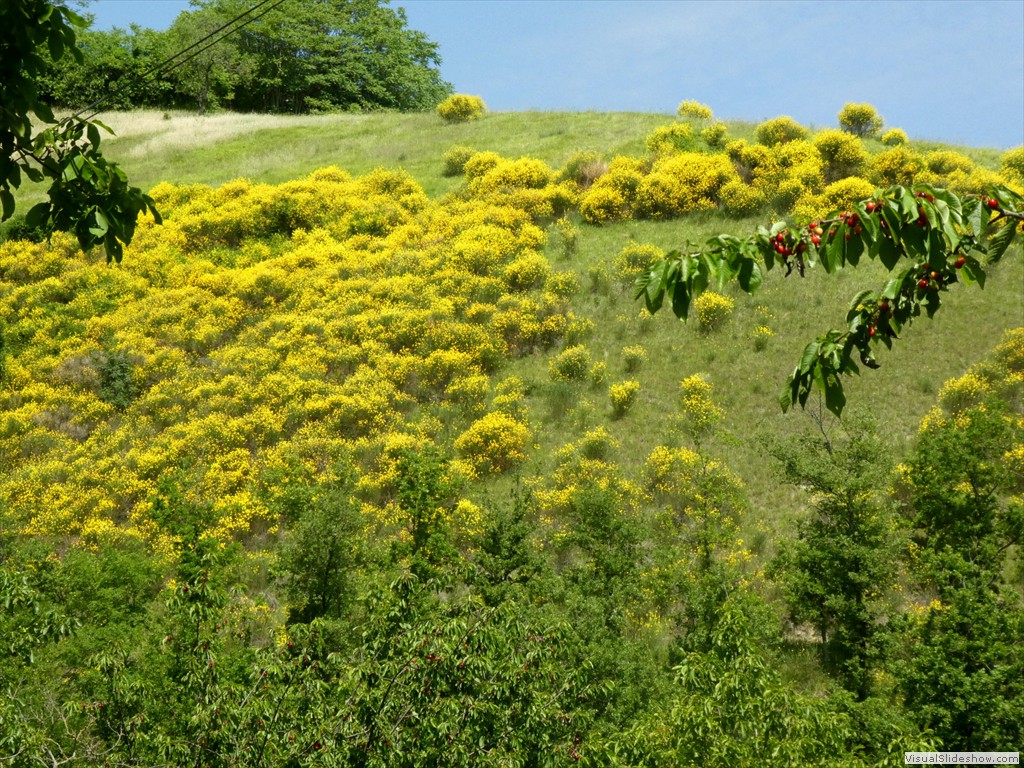 P1050542