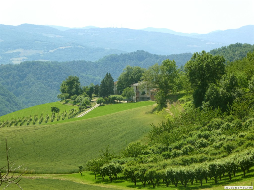 P1050547