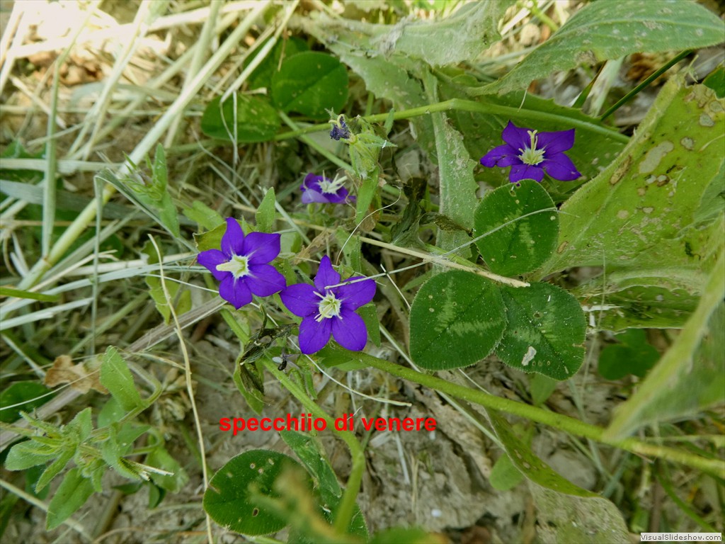 P1050548