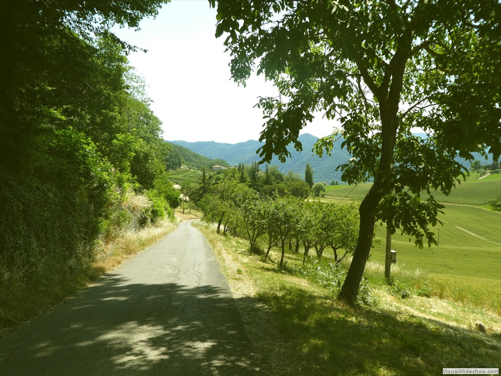 P1050549