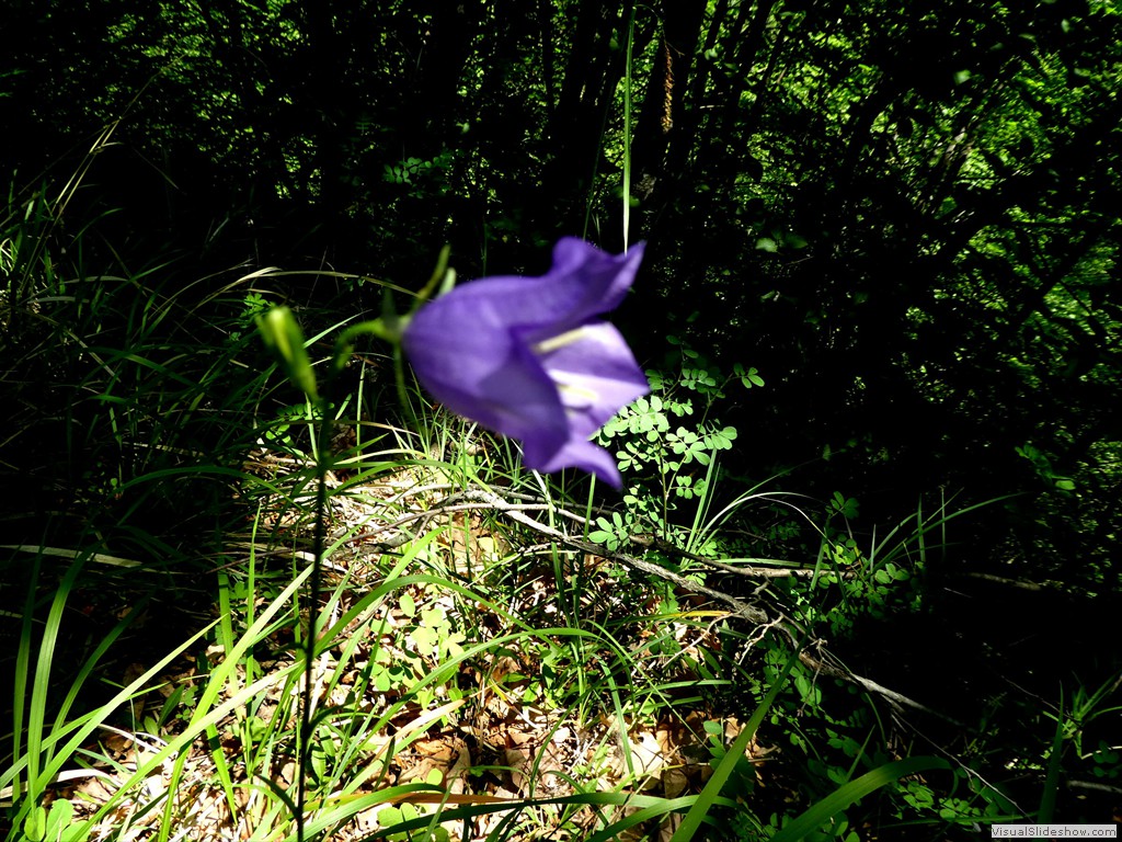 P1050554
