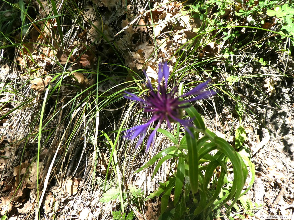 P1050556