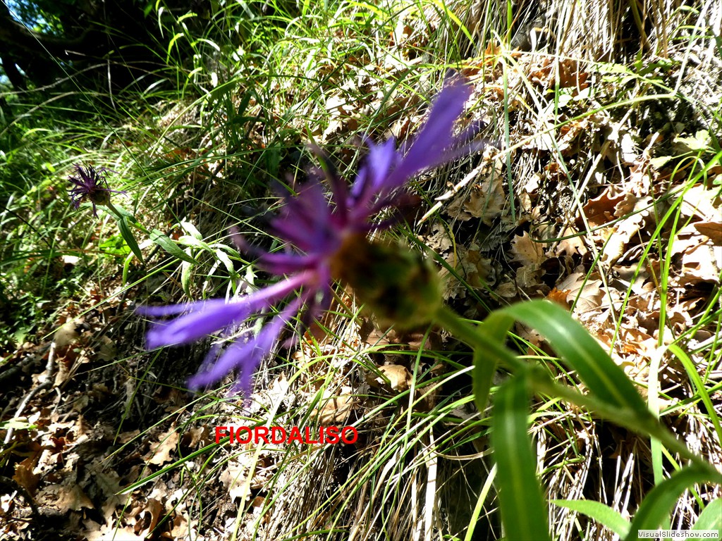 P1050557
