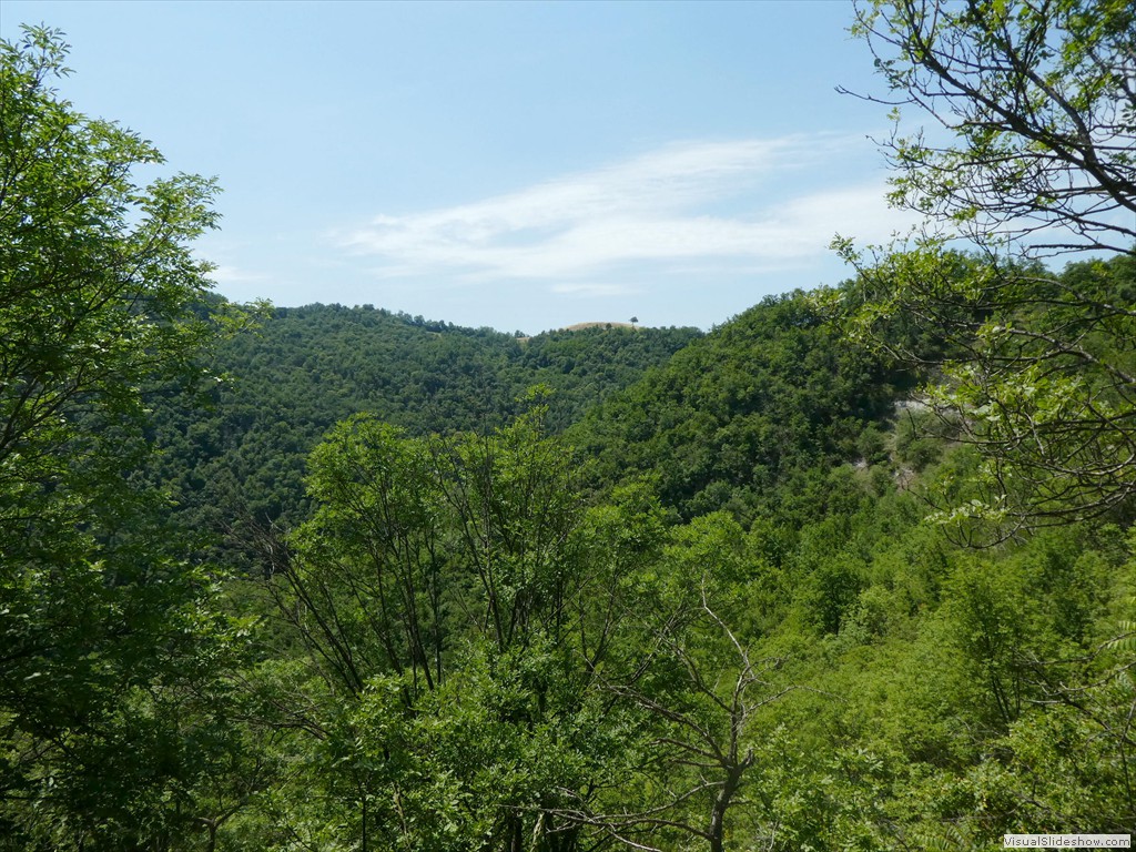 P1050560