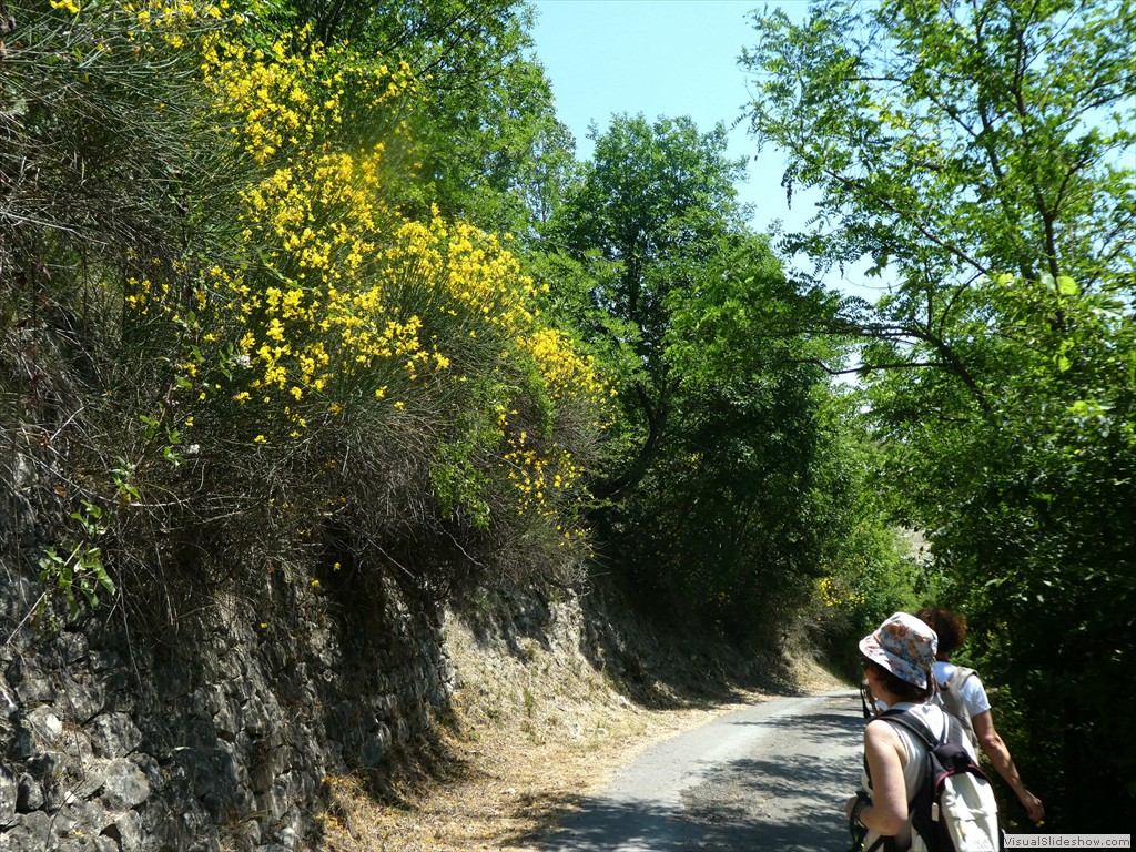 P1050564